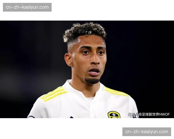 利兹联与红牛达成股权合作 全球资源注入升班马商业体系